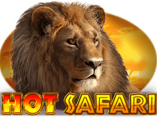 Hot Safari game icon